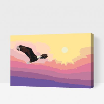 Pintura por números - Águila en la puesta de sol