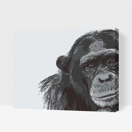 Pintura por números - Chimpancé