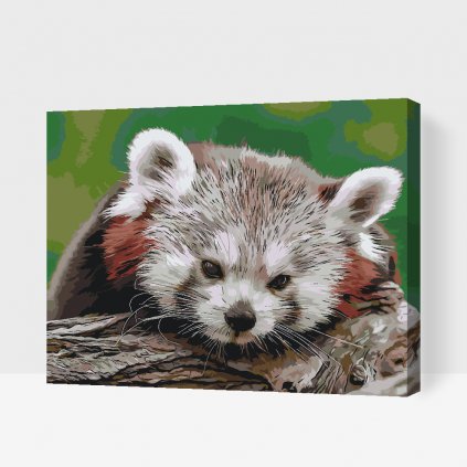 Pintura por números - Panda rojo
