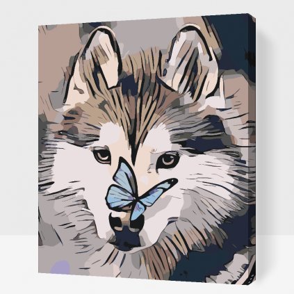 Pintura por números - Mariposa y husky