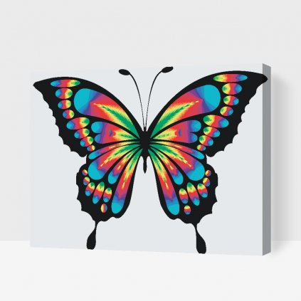 Pintura por números - Mariposa de colores