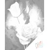 Puntillismo – Rosas blancas