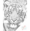 Puntillismo – Cabeza de tigre 2