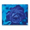 Pintura de diamante - Rosa azul