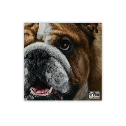 mockupy nahledyBuldok