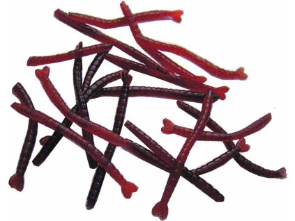 003064 patentka