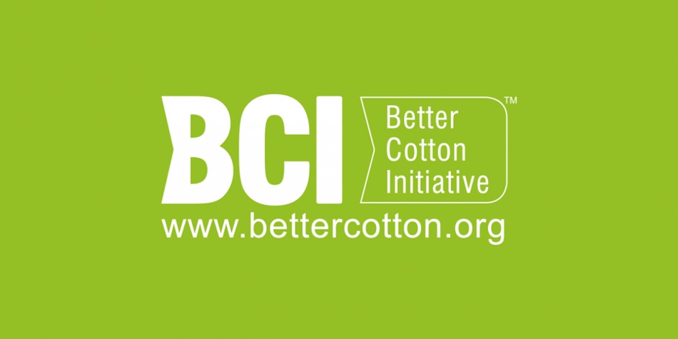 BCI logo