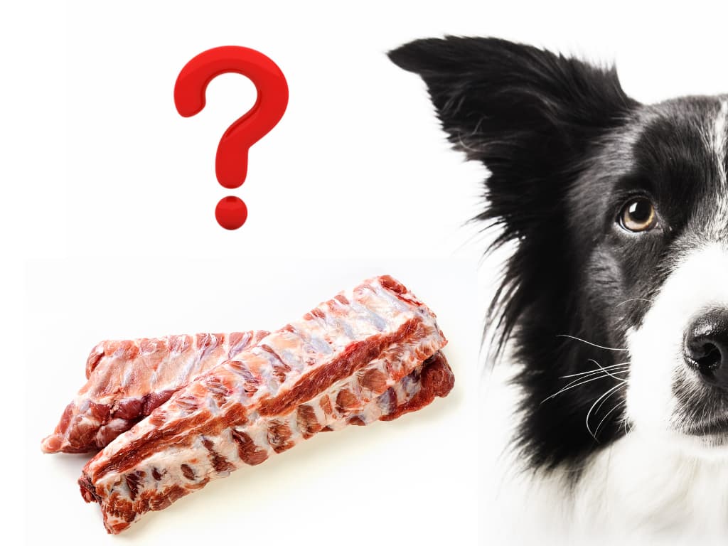 Bravčové mäso pre psov – áno alebo nie
