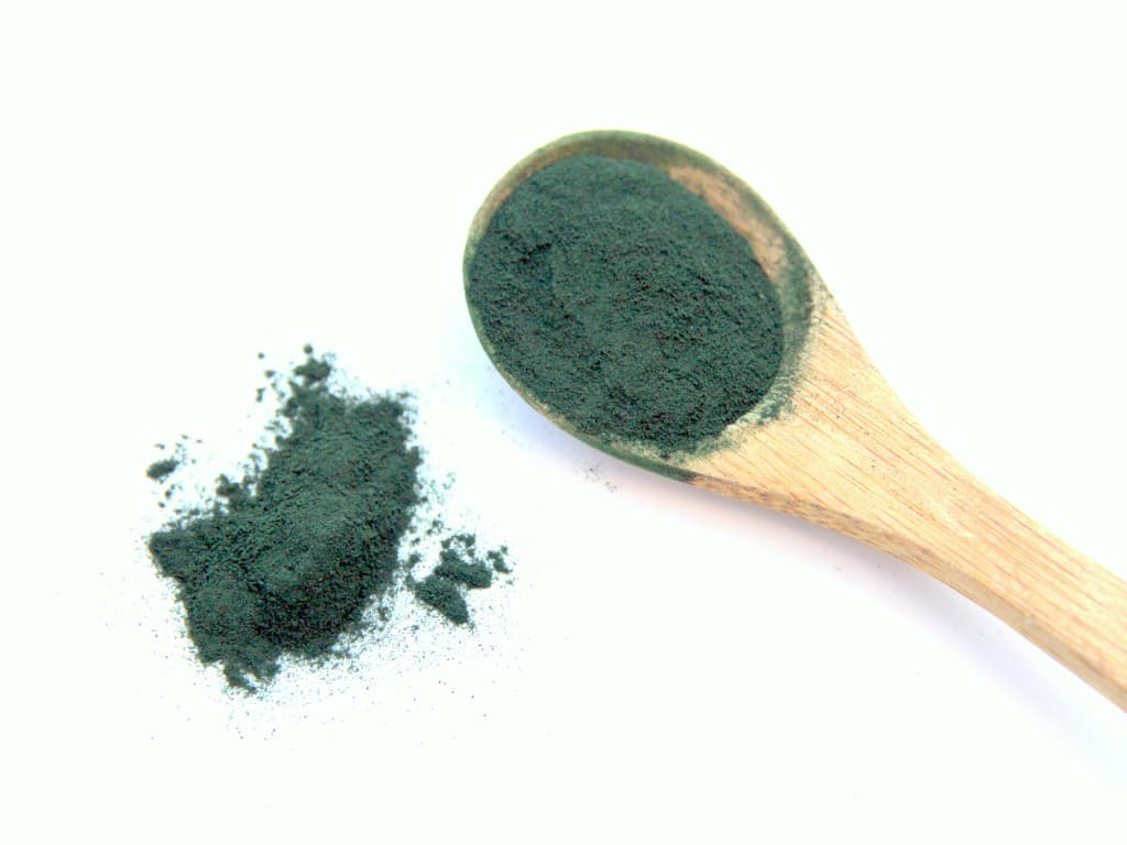 Morské Riasy Pre Psy. Poznáte Ich Výhody?