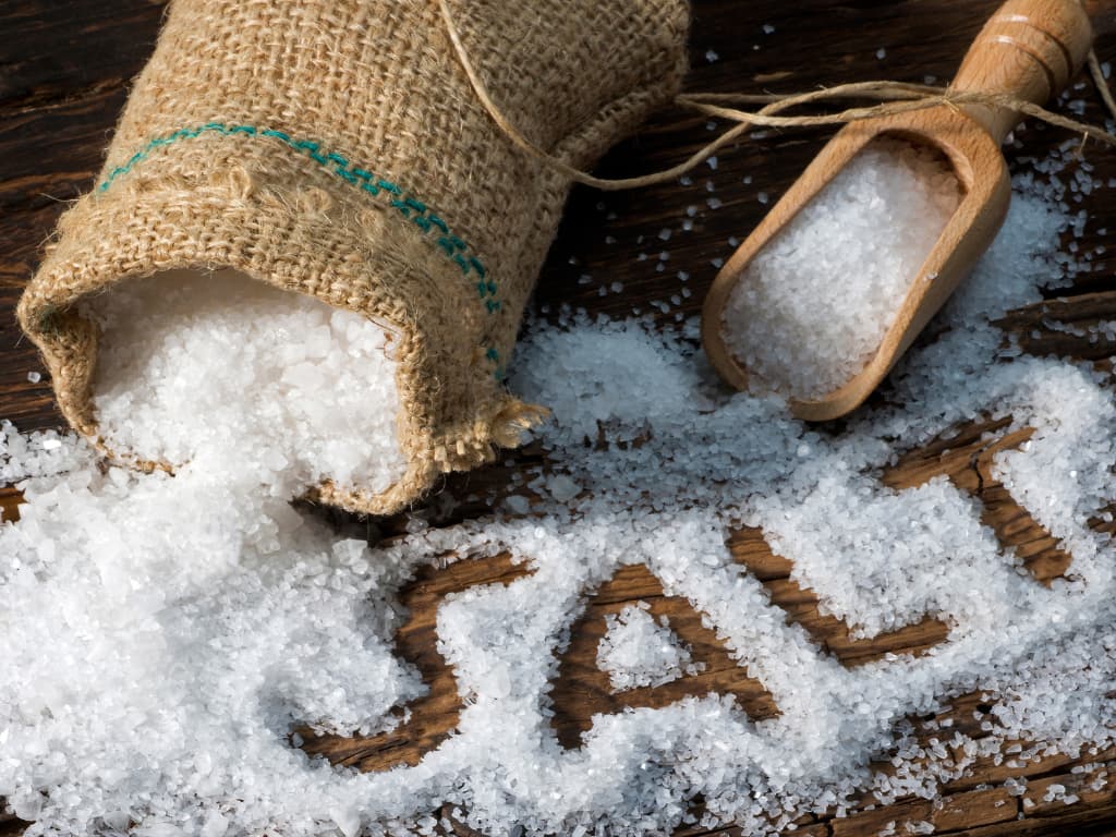 Potrebujú Psy soľ v strave?