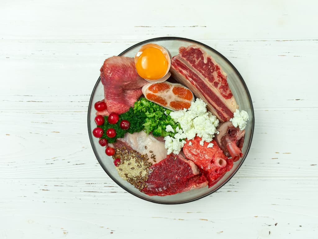 Prechod na BARF: Ako začať bezpečne a správne