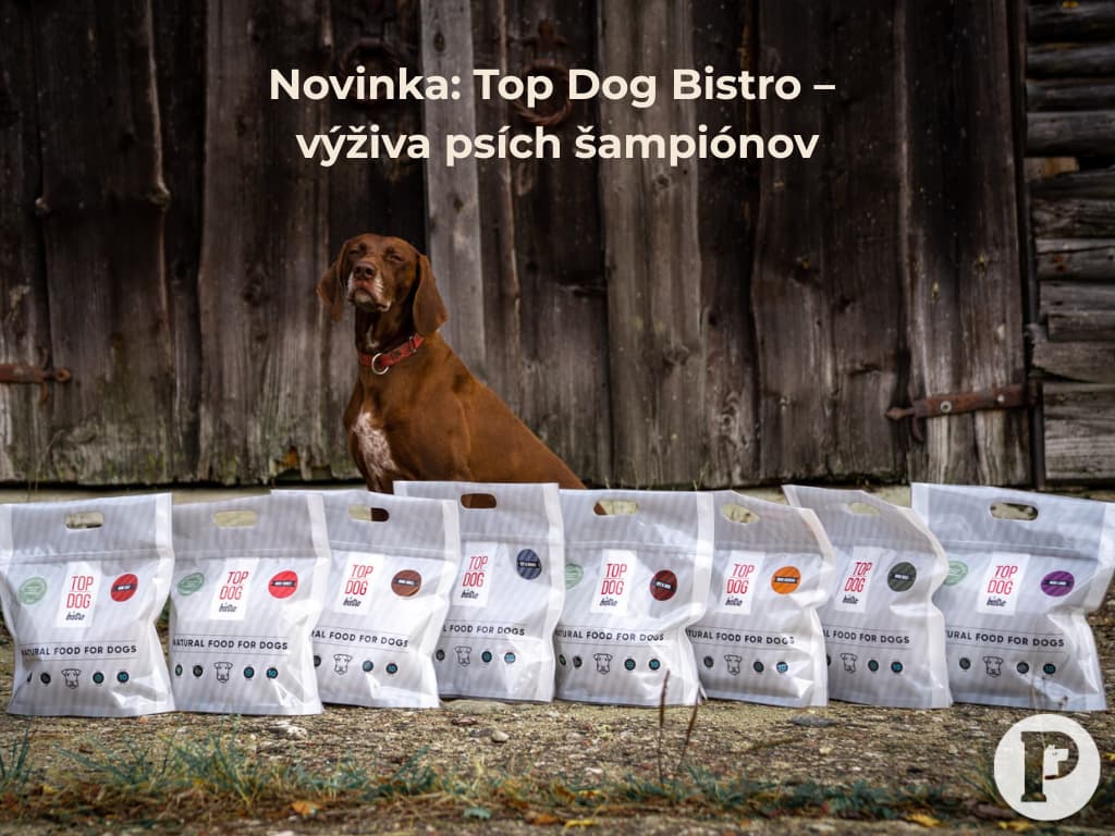 Novinka v ponuke Piper’s Treats: Top Dog Bistro – výživa psích šampiónov