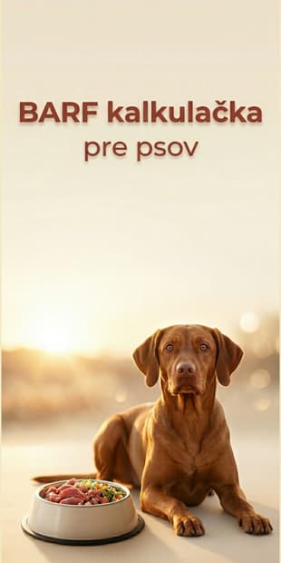 BARF kalkulačka pre psov – výpočet dennej dávky a spôsobu kŕmenia