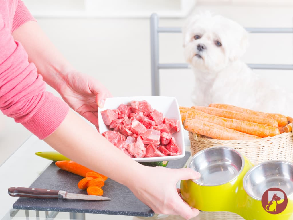 Domáca príprava BARF krmiva v kuchyni pri príprave surového mäsa
