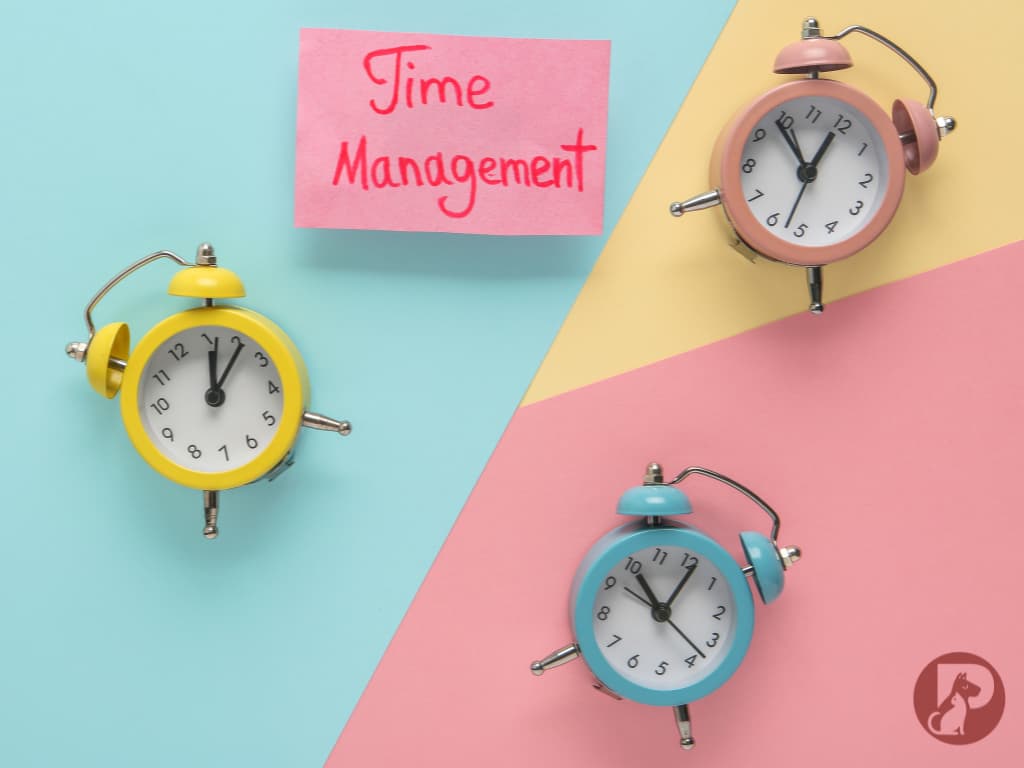 Časová úspora pri používaní hotového BARF menu Pipers.sk