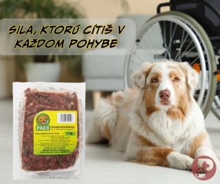 💪 Energia, sila a výdrž – všetko, čo služobný pes potrebuje Služobní a pracovní psi sú vystavení vysokému fyzickému aj...