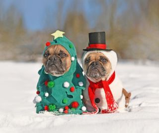 Zajtra (sobota) máme OTVORENÉ – ako v pracovný deň! Napriek tomu, že je zajtra sobota, fungujeme podľa bežného pracovného...