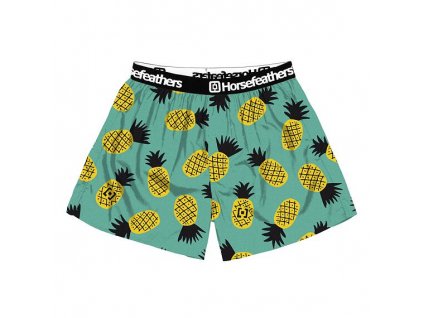 Trenýrky HFC Frazier pineapple