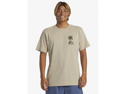 aqyzt09562 quiksilver,w thz0 frt1