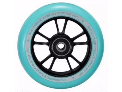 blunt wheel 10 spokes 100mm 2