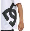edyzt04414 dcshoes,w wht dtl1