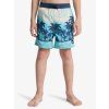 BOARDSHORT QUIKSILVER EVERYDAY PRIN BJK8