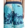 BOARDSHORT QUIKSILVER EVERYDAY PRIN BJK8
