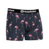 BOXERKY HORSEFEATHERS SIDNEY FLAMINGOS