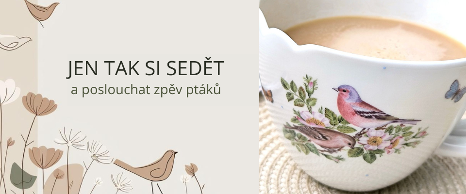 Léto na zahradě