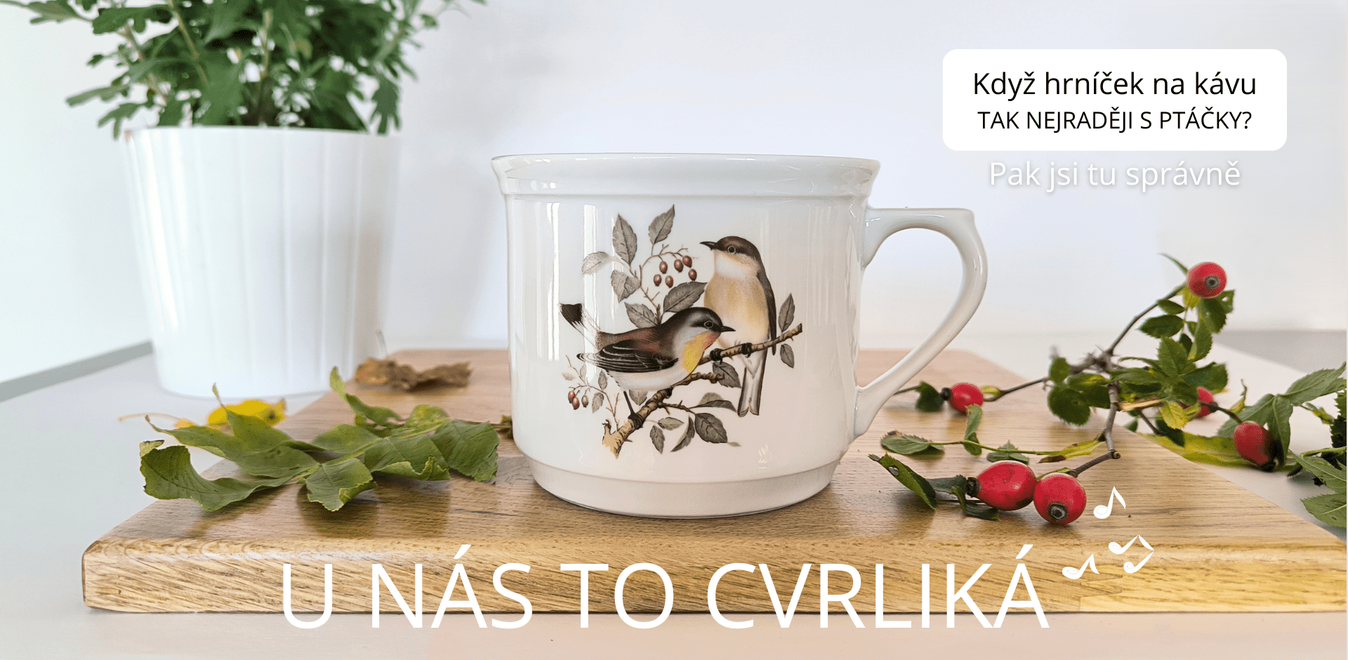 Dekorace s ptáčky