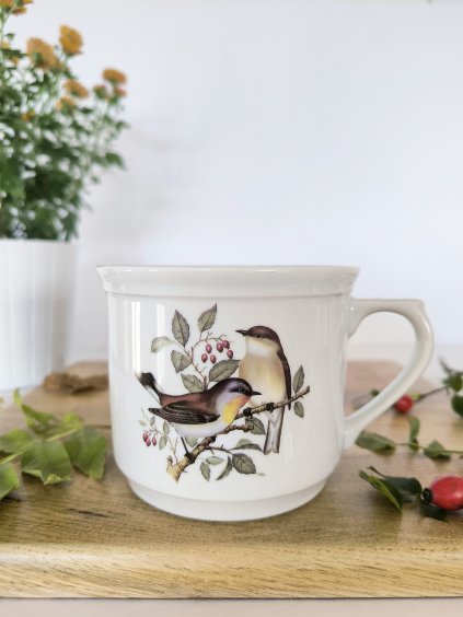 Porcelánový hrnek Vařák ptáci v šípkách, 500 ml