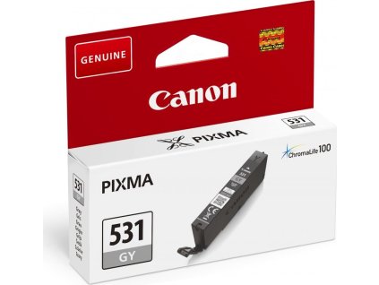 CLI 531 GY EUR slant s