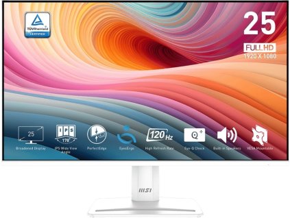 MSI PRO MP251W