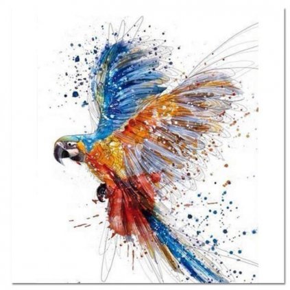 Malování podle čísel s rámem "Papoušek" 50x40cm