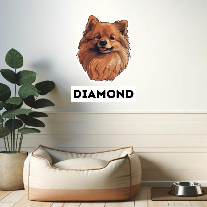 5049 nalepka pomeranian