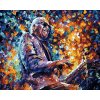 Malování podle čísel s rámem "Stevie Wonder" 50x40cm