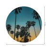 Kruhová samolepka na zeď - palmy, průměr 100cm  Kruhová samolepka na zeď - palmy, průměr 100cm