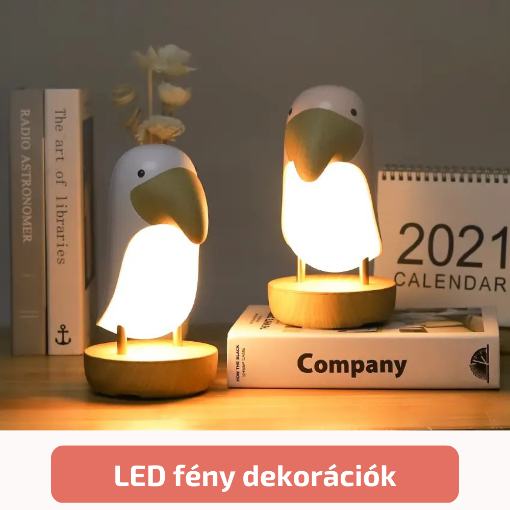 LED fény dekorációk