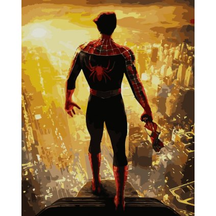Festés számok szerint kép kerettel "Spider-man 2" 40x50 cm