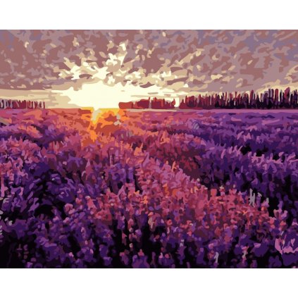 Festés számok szerint kép kerettel "Levendula mező" 40x50 cm