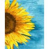Festés számok szerint kép kerettel "Napraforgó" 40x50 cm