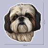 5946 4 matrica shih tzu