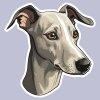 5955 6 matrica whippet