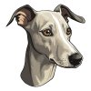 5955 7 matrica whippet