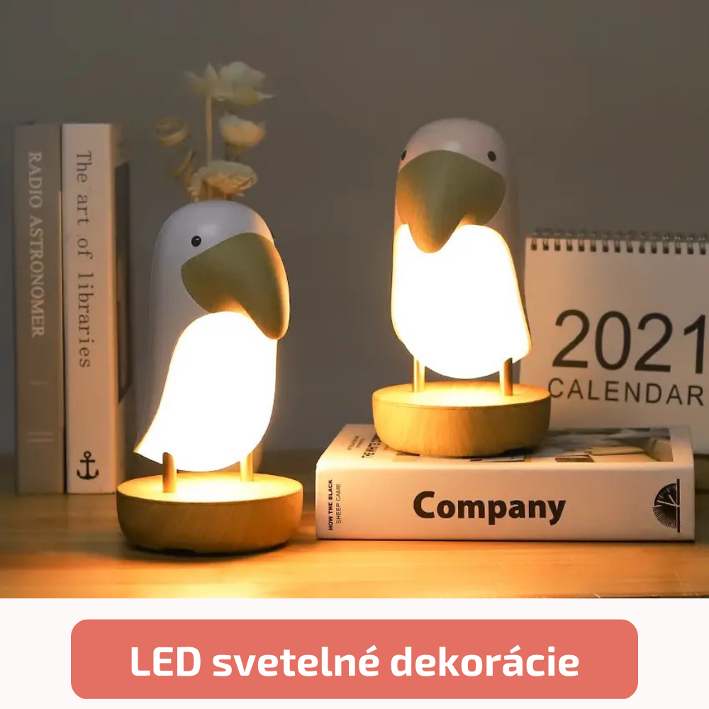 Kategória produktu - LED svetelné dekorácie