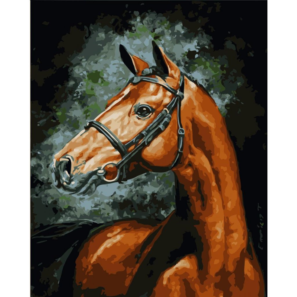 Maľovanie podľa čísiel s rámom "Kôň" 50x40 cm