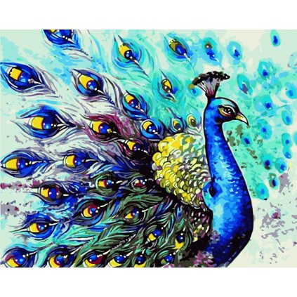 Maľovanie podľa čísiel s rámom "Páv 2" 50x40 cm