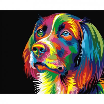 Maľovanie podľa čísiel s rámom "Farebný pes" 50x40 cm