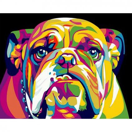 Maľovanie podľa čísiel s rámom "Farebný Bulldog" 50x40 cm