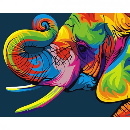 Maľovanie podľa čísiel s rámom "Farebný slon" 50x40 cm